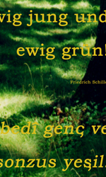 Deutscher Wald f&uuml;r Istanbul von Kirsten K&ouml;tter