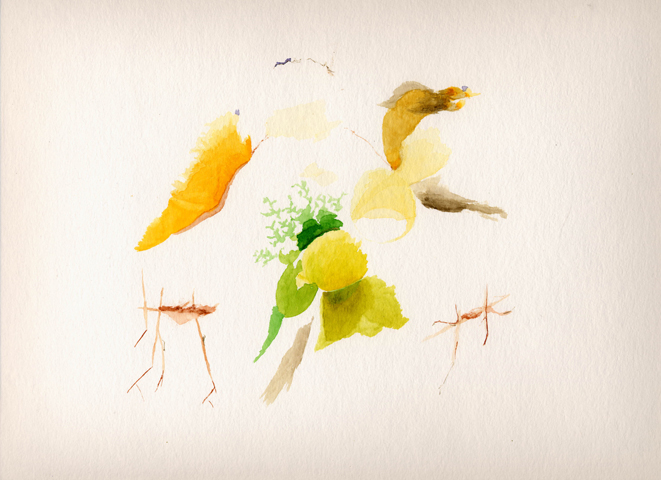 Sonne, Fichten, M&uuml;cken - Kirsten K&ouml;tter, Painting Site-specific: 69° N / 27° O (NNO), Kevoj&auml;rvi, Finnland, 30.06.2003, 21.30 - 24.00, Aquarell, 30 &times; 40 cm, Text (18/36)