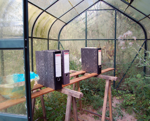 Kirsten K&ouml;tter: Organisches Archiv, 2012, Installation auf dem Waldgrundst&uuml;ck.