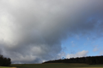 Kirsten K&ouml;tter: Licht, B&auml;ume, Feld (Detail, Ausschnitt), Site-specific painting, See im Taunus, N&auml;he Wingsbach (Taunusstein), 50° N / 8 ° O