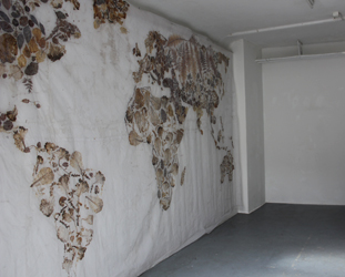 Transit / Klimawechsel, 2015, Weltkarte, Salatbl&auml;tter, Kr&auml;uter, Bl&auml;tter in durchsichtige Stoffe geleimt, (vom Skulpturenpark M&ouml;rfelden 2013), 280 x 500 cm von Kirsten K&ouml;tter