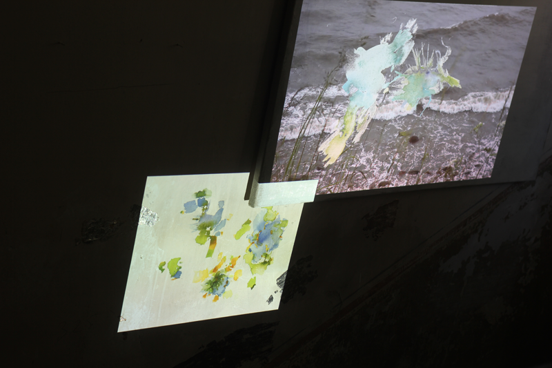 Kirsten Kötter und Ulrike Lange: Installation und Objekt. Atelier im alten Badehaus, AKK-Kulturtage, Wiesbaden-Mainz-Kostheim.
  07.09. - 15.09.2024. Exhibition view