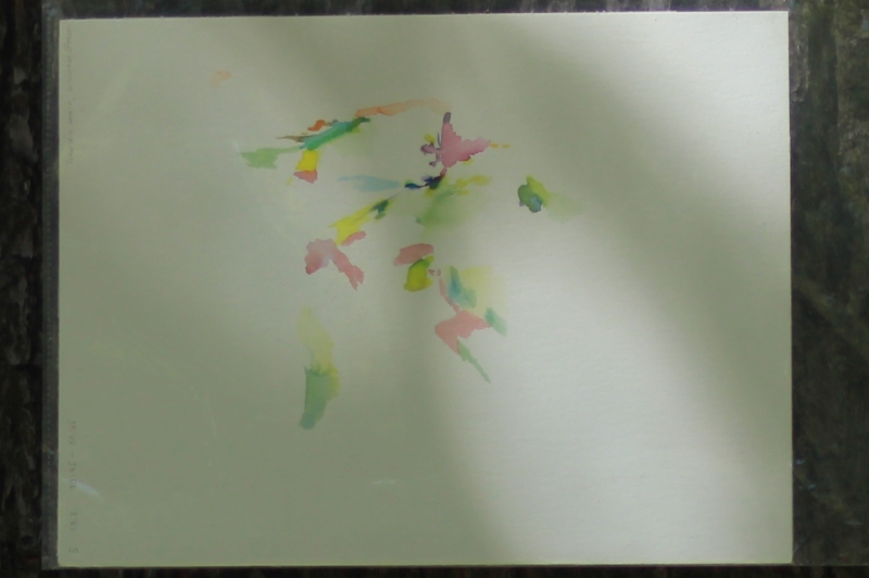 2025-08-19_malathon-chemnitz_05_baum_2803_ausschnitt, watercolour, 24 × 32 cm (Kirsten Kötter)