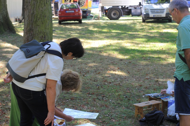 2025-08-19_malathon-chemnitz_09_zuschauer_2819 (Kirsten Kötter)