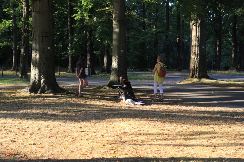 2025-08-19_malathon-chemnitz_15_malen_enkeltag_2853, watercolour, 30 × 40 cm (Kirsten Kötter)