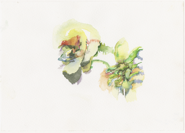 2008-12-20_elat-lotan_israel, watercolour, 17 &times; 24 cm (Kirsten Kötter)