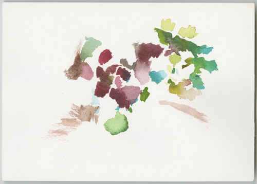 2017-06-27_kevo-blueberries, watercolour,
  17 × 24 cm (Kirsten Kötter)